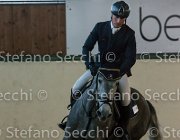 Edwina FZ TosTour2013- S5 3215 : Arezzo, Arezzo Equestrian Centre, Cavalli d'Italia, Edwina FZ, Toscana Tour 2013, foto di Stefano Secchi ©